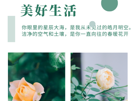 符合国家标准的第三方检测服务